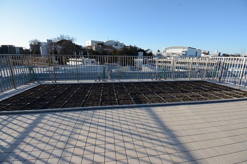 開放感あるリビング